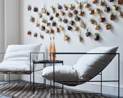 Geometric Air Plants